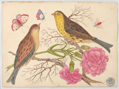 Twee Bruin-en-Gele Vogels op Takken met Anjers en Insecten door Unknown artist