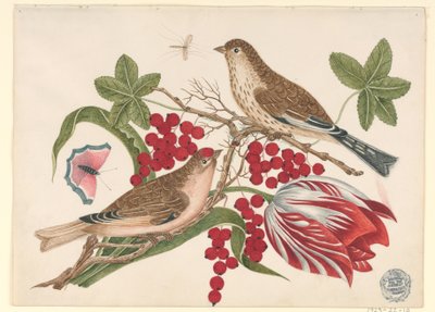 Twee bruine vogels op tak met tulp, bessen en insecten door Unknown artist