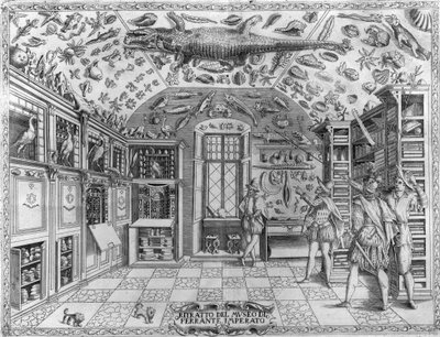 Zicht op het museum (kabinet) van curiositeiten (encyclopedisch museum) van de apotheker Ferrante Imperato (1550 - 1631). Gravure uit 1678. Museum van de Napolitaanse apotheker Ferrante Imperato. door Unknown artist