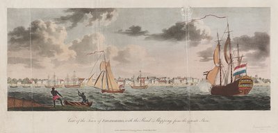 Uitzicht op de stad Paramaribo, met de weg en schepen vanaf de overkant door Unknown artist