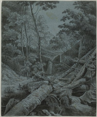Waterval en omgevallen boomstammen in bos door Unknown artist
