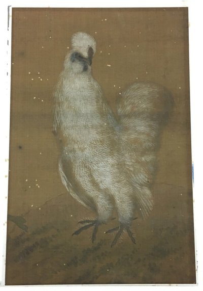 White Rooster door Unknown artist
