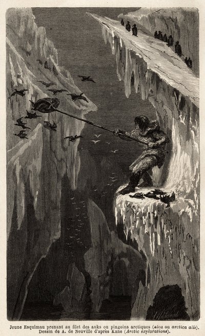 Jonge eskimo vangt Arctische pinguïns. Gravure ter illustratie van de reis naar de vrije zee van de Noordpool, door dokter Hayes, chirurg van de Amerikaanse marine, in 1860-1862, gepubliceerd in 