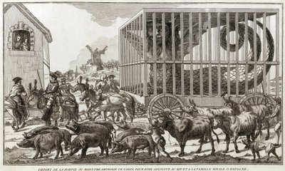 Zoomorfisme - Karikatuur tegen Marie-Antoinette - Vertrokken van de harpij of amfibisch monster van Cadiz om naar de koning en de koninklijke familie van Spanje te worden gebracht: Dit dier werd gevangen aan de oevers van het meer van Fagua - 1784 door Unknown artist