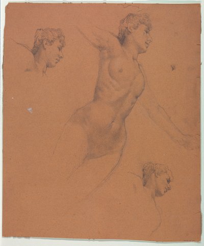 tekening door Unknown artist