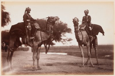 Kameel Sowars bij het Delhi oefenkamp door Unknown photographer