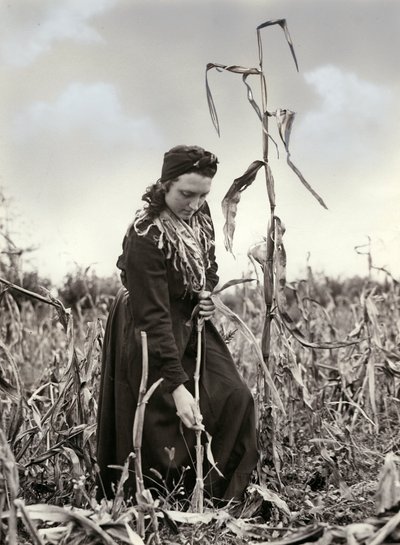 Friulian geëxtrudeerd door Unknown photographer