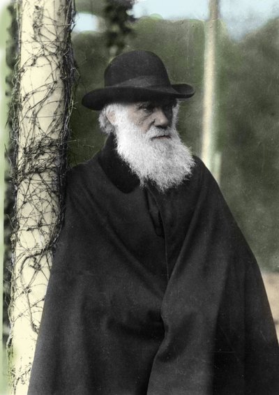 Portretfoto van Charles Darwin (1809 - 1882), Engelse natuuronderzoeker in 1881. door Unknown photographer