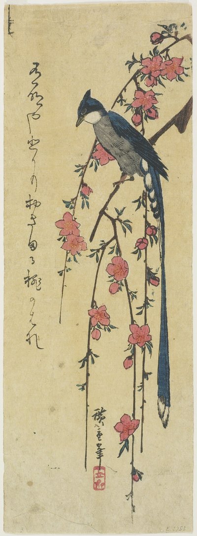 (Langstaart haan op hangende kersenboom) door Utagawa Hiroshige