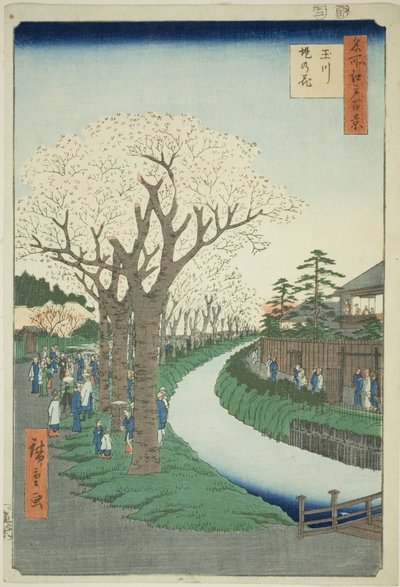 Bloesems op de Tama Rivier Dijk (Tamagawa-zutsumi no hana), uit de serie "Honderd beroemde uitzichten van Edo (Meisho Edo hyakkei)" door Utagawa Hiroshige