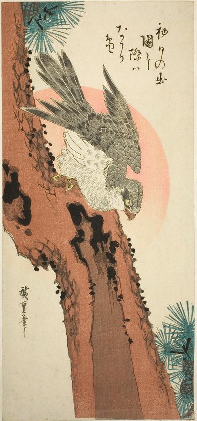 Valk op een dennenboom met de opkomende zon door Utagawa Hiroshige
