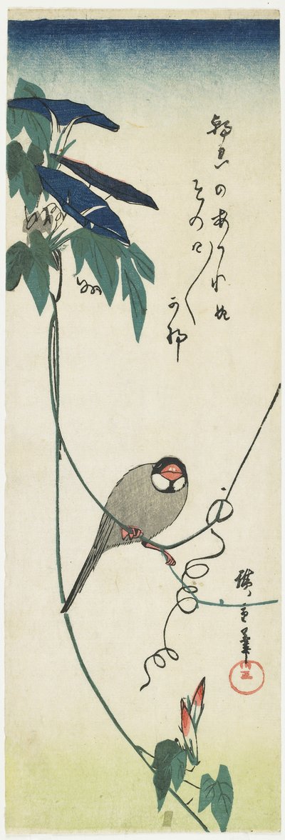 Javaanse mus en ochtendglorie, 1834-1839 door Utagawa Hiroshige