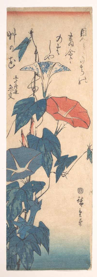 Prunkwinden door Utagawa Hiroshige