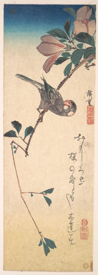 Purpurmagnolie und Hornvogel door Utagawa Hiroshige