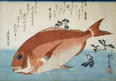 Rode Zeebrasem, 1832-1834 door Utagawa Hiroshige