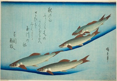 Rivierforel door Utagawa Hiroshige
