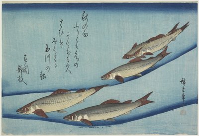 Zoetwatervis, 1832-1833 door Utagawa Hiroshige