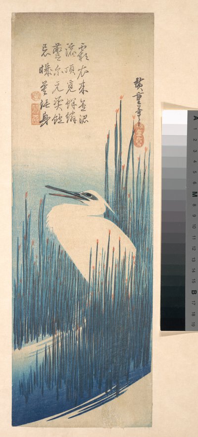 Weißer Reiher zwischen Schilf door Utagawa Hiroshige