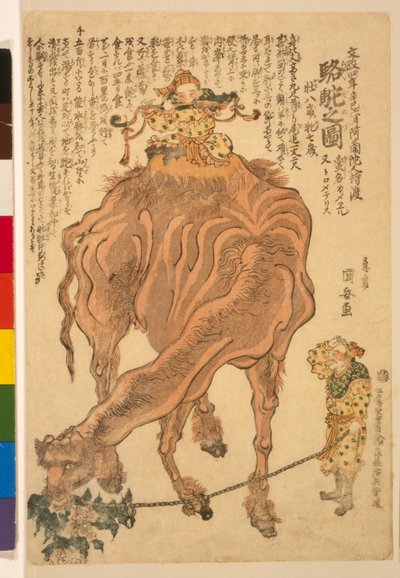 Een Kameel, gepubliceerd 1824 door Utagawa Kuniyasu