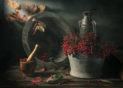  door Vadim Kulinsky