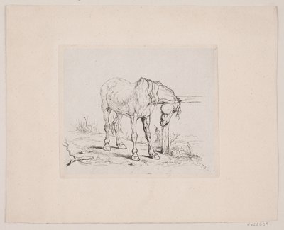 Een oud paard door Valdemar Irminger