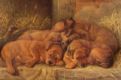 Puppyliefde door Valentine Thomas Garland