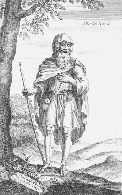 Een Britse Druïde van Stonehenge door William Stukeley door Van Der Gucht