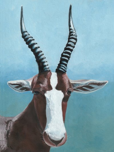 De blik van de Afrikaanse blesbok door Viccy Wanliss