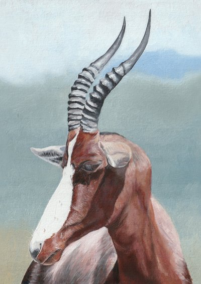 De vredige blik van de blesbok door Viccy Wanliss