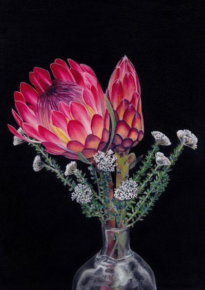 Protea en Blombos Door Viccy Wanliss door Viccy Wanliss