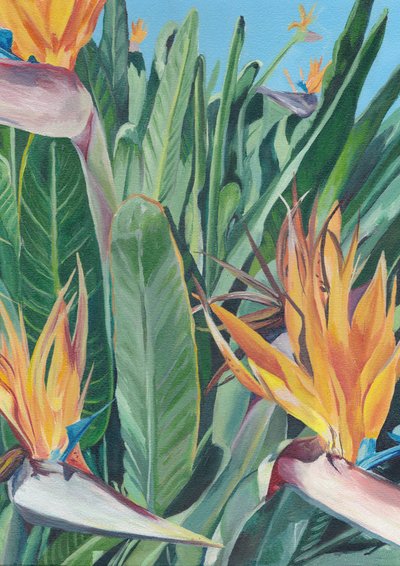 Levendige paradijsvogel door Viccy Wanliss
