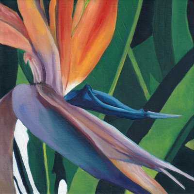 Levendige paradijsvogel door Viccy Wanliss