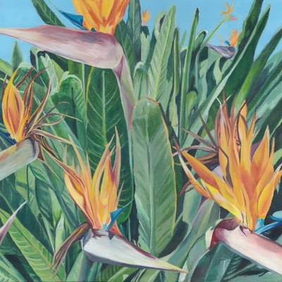 Levendige paradijsvogel door Viccy Wanliss