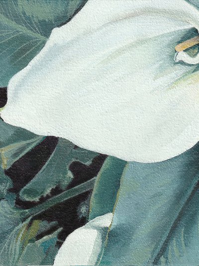 Witte calla in bloei door Viccy Wanliss