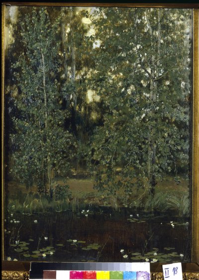 Vijver in Akhtyrka (of Okhtyrka, Oekraïne) door Victor Mikhailovich Vasnetsov