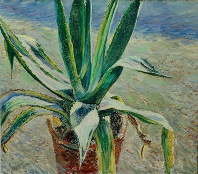 Agave door Viktor Elpidiforovich Borisov Musatov