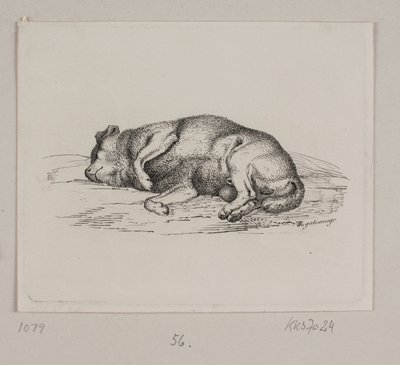 Een liggende hond door Vilhelm Kyhn
