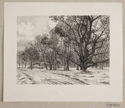 Winter in het Bos door Vilhelm Kyhn