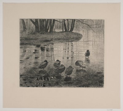 Eenden door Vilhelm Th. Fischer