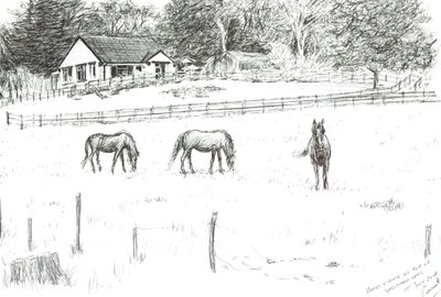 Paarden bovenaan de laan, 2008 door Vincent Alexander Booth
