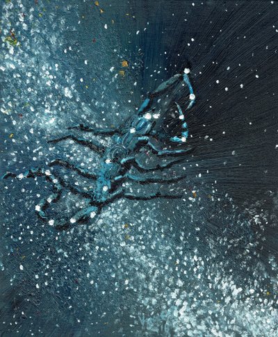 Sterrenbeeld Schorpioen, 2016 door Vincent Alexander Booth