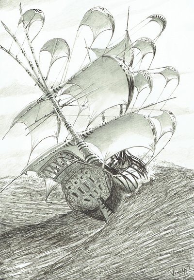 Stormscheppers Zhaoyang Hu door Vincent Alexander Booth
