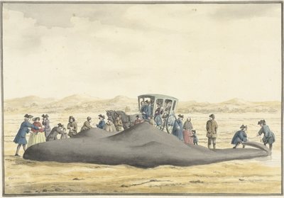 Aangespoelde potvis op het strand tussen Zandvoort en Wijk aan Zee, 20 februari 1762, op de rug gezien door Vincent Jansz. van der Vinne