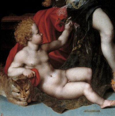 Jupiter als satyr met Antiope en haar tweelingen (detail) door Vincent Sellaer