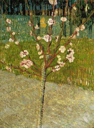  door Vincent van Gogh