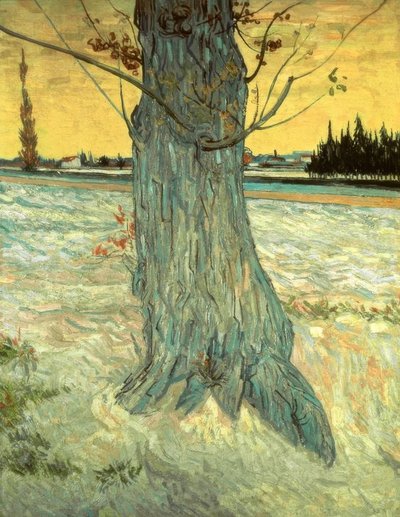 De Boom door Vincent van Gogh