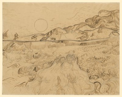  door Vincent van Gogh