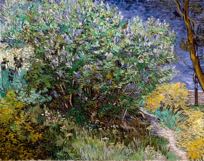 De seringstruik door Vincent van Gogh