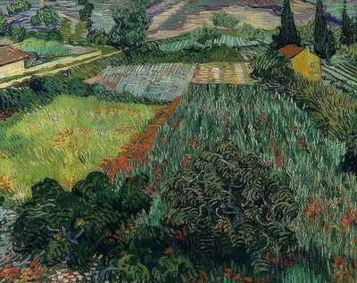 Klaprozenveld door Vincent van Gogh