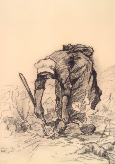 Bietenplukster door Vincent van Gogh